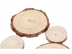 圆木片松木片儿童手工 diy工艺品绘画材料圣诞木片挂件装饰原木片