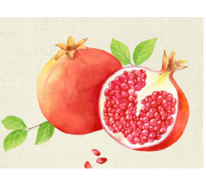 中式餐厅水果装饰画石榴樱桃柿子吉祥画芯微喷打印民俗风自粘贴画